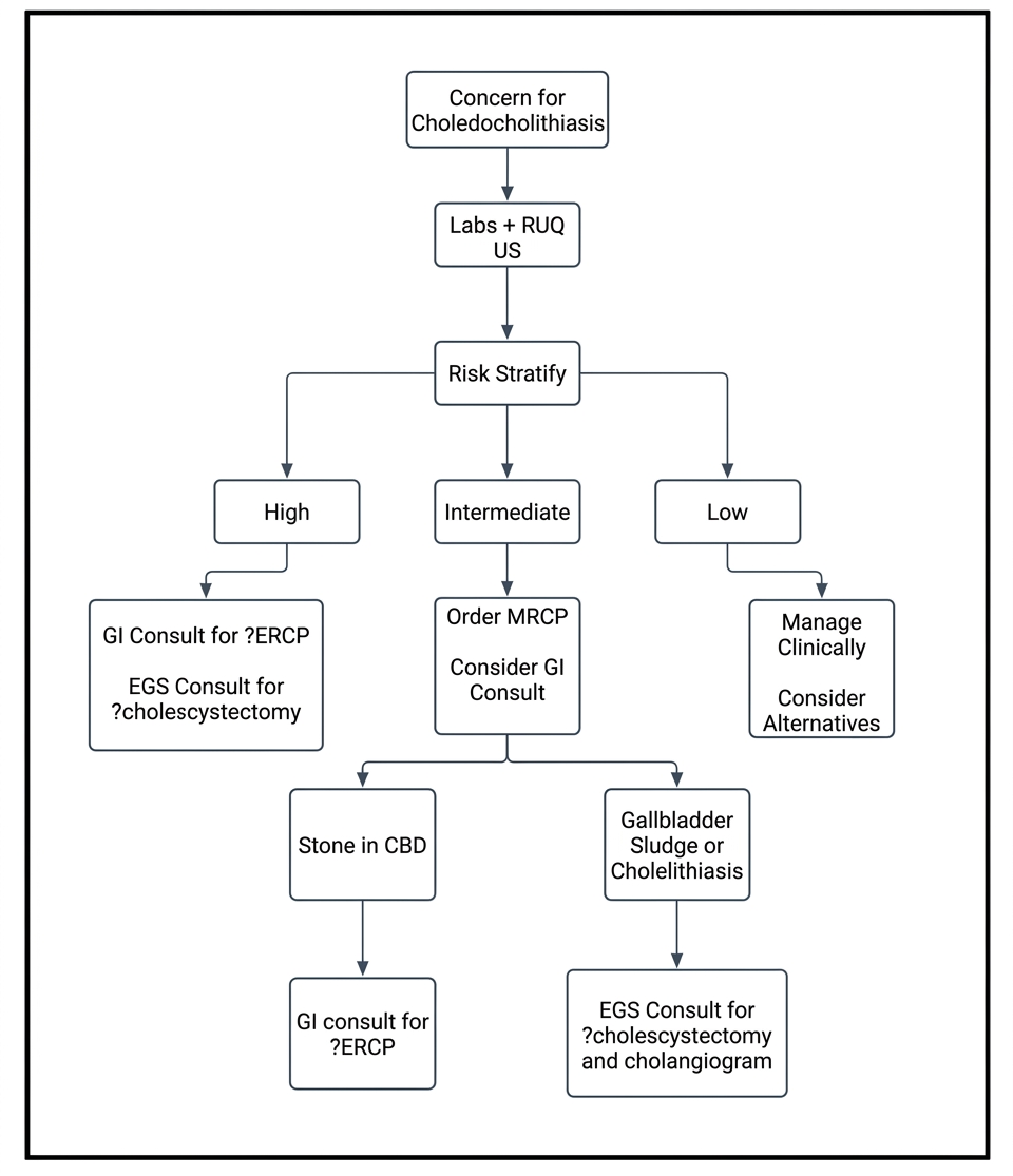 Choledocholithiasis Chart