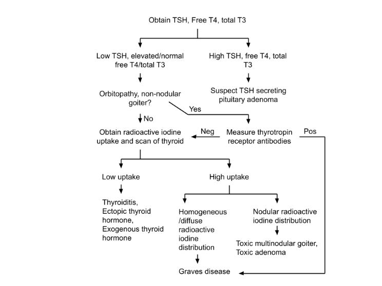 Hyperthyroidism evaluation diagram
